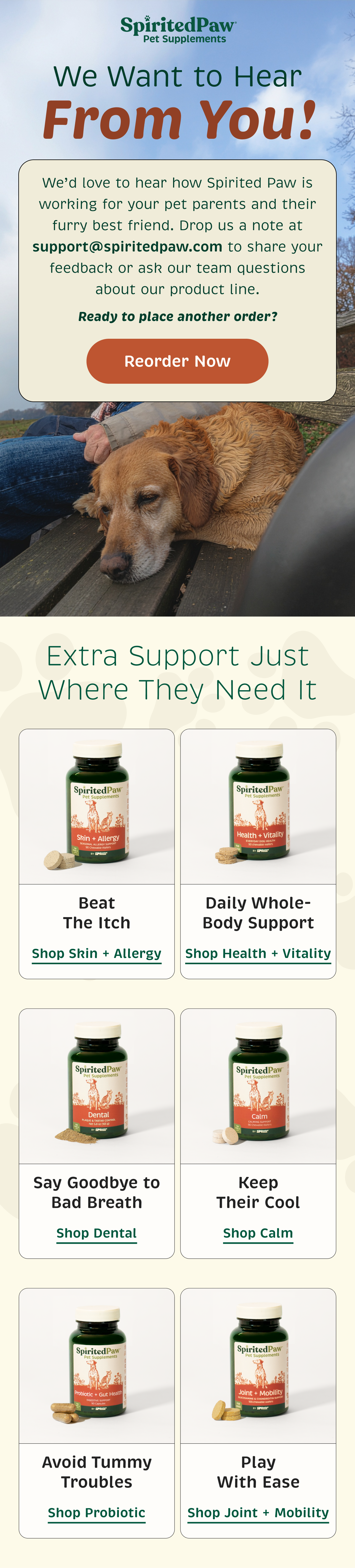 Email Campaign 3