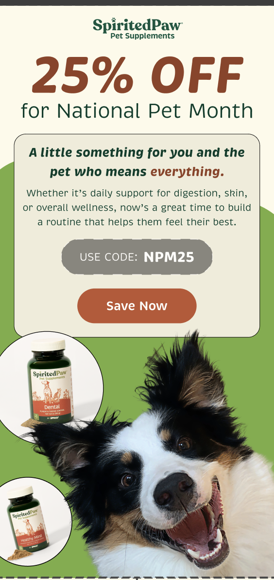 National Pet Month promotional email