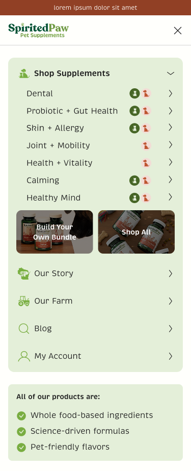 Mobile Navigation