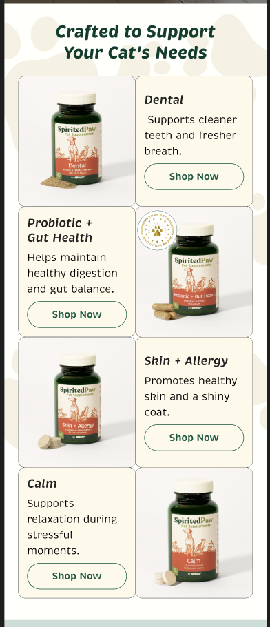 Cat wellness category email