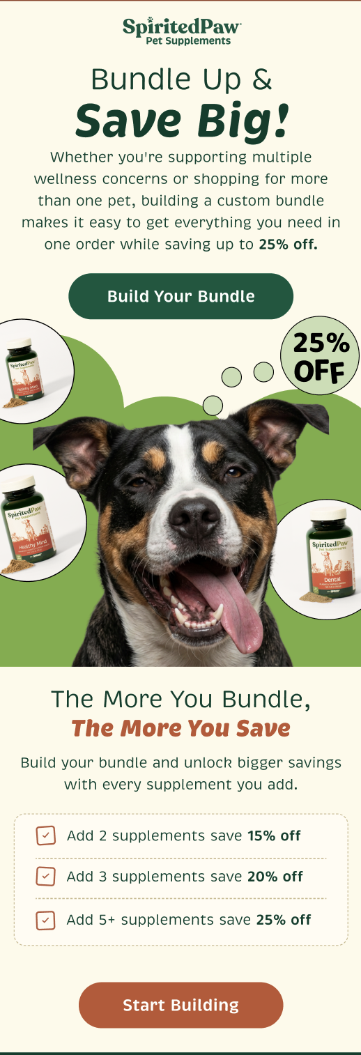 Bundle promotion email