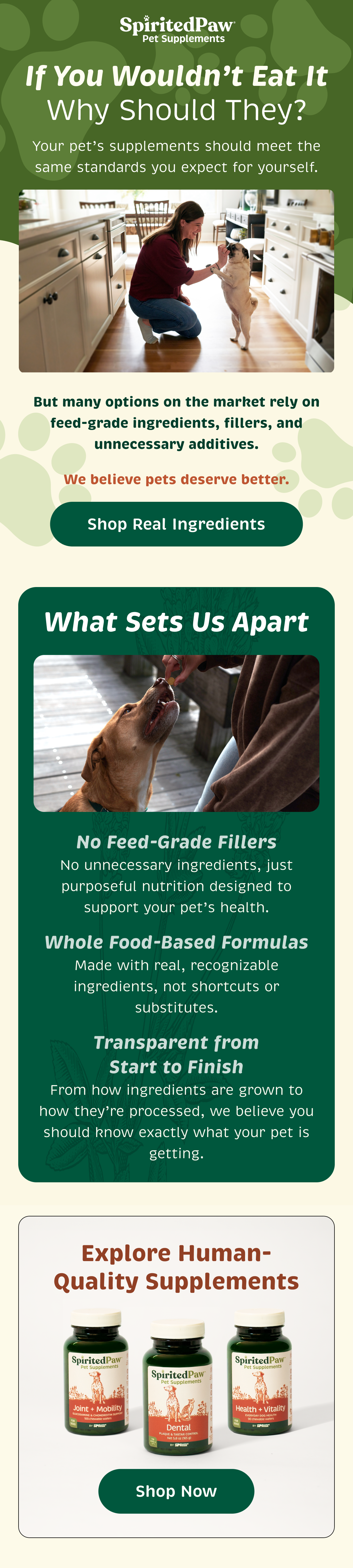 Email Campaign 4