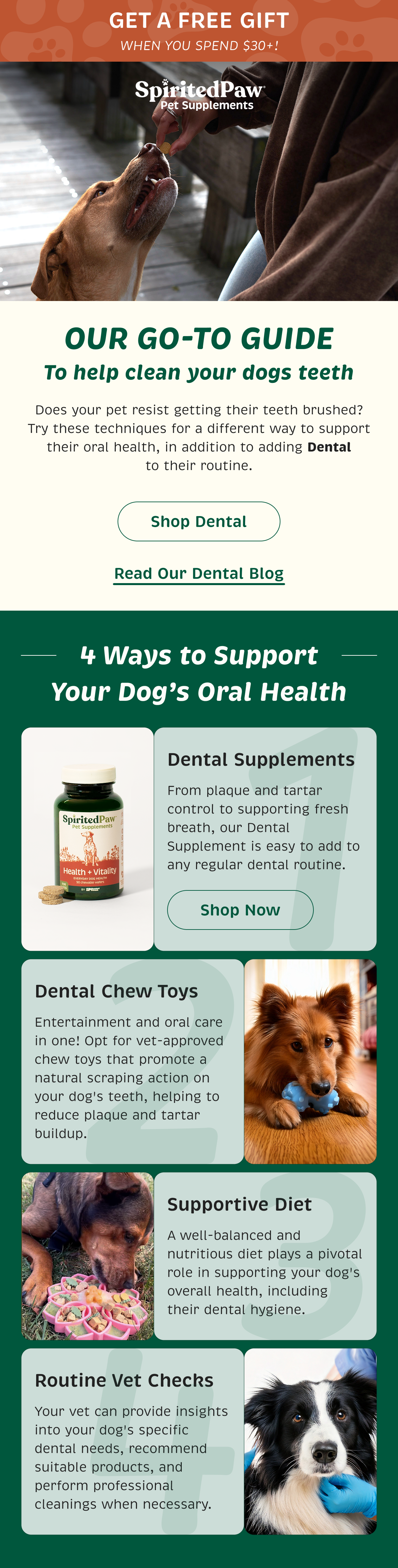 Email Campaign 6