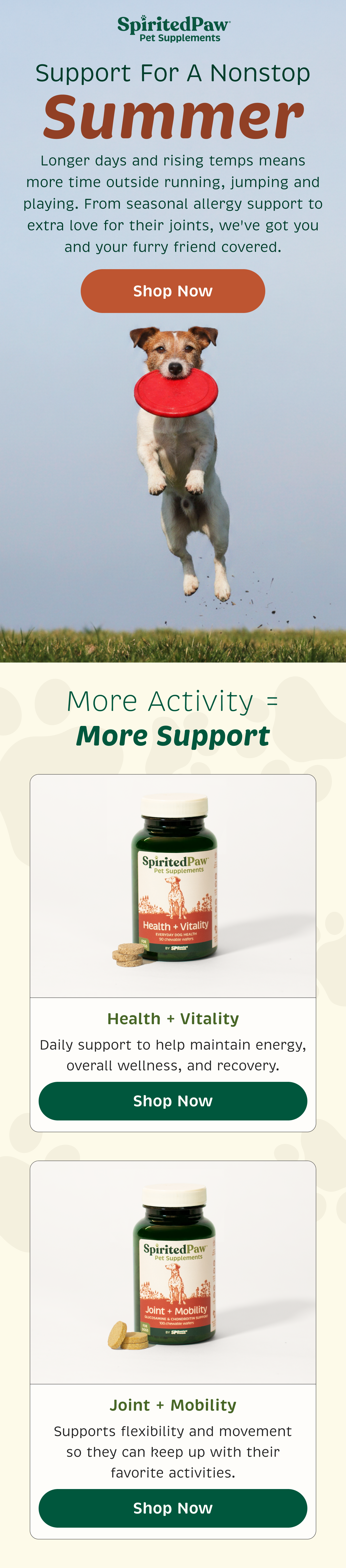 Email Campaign 2